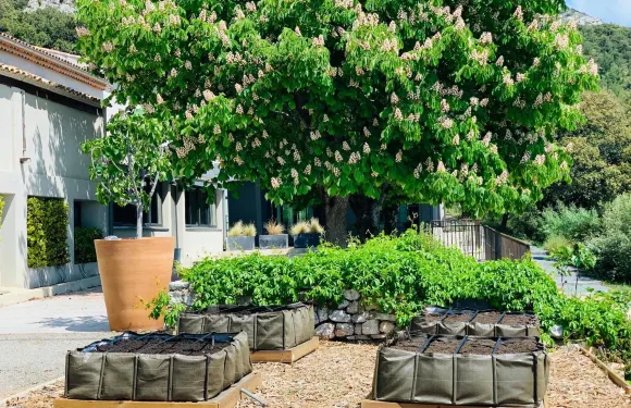 勒瑞萊斯德聖德賽酒店