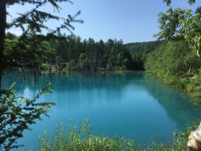 ホテル周辺 芦別温泉スターライトホテルの写真