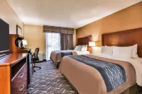 Comfort Inn & Suites Ambassador Bridge Hotels in LaSalle