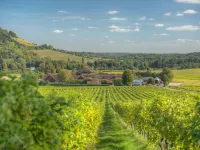 Denbies Vineyard Hotel Hotels in Dorking