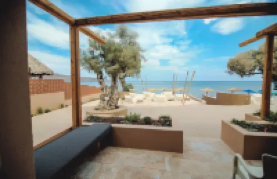 The Theodore Boutique Hotel- Adults Only 16 Plus