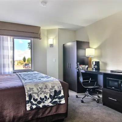 Sleep Inn Gallup Hotels near Rex Museum