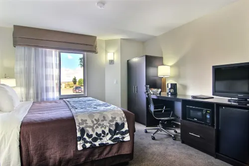 สลีปอินน์ แกลลัป