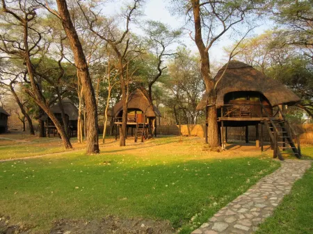 The Tree Lodge at Sikumi Отели в г. Хуэндж
