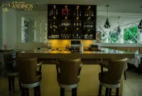 Hotel Andinos Plaza Florencia - bar