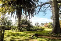 Gerald's Gift Guest House Hotels in Addo