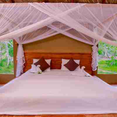 Yala Safari Camping Rooms