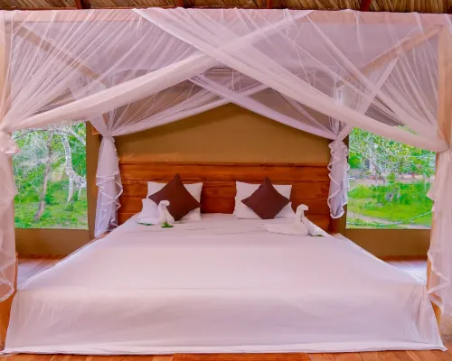 Yala Safari Camping Hotels in Kataragama