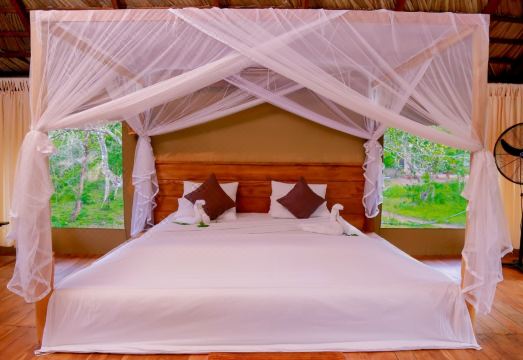 사파리 미식 체험 상단