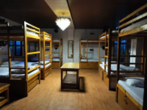 Jungle by sturmfrei Pushkar