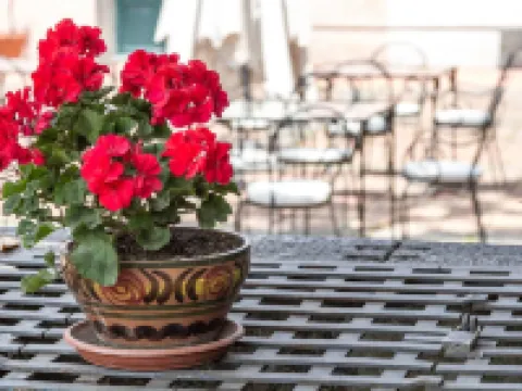 ホテル エトナ ジャッレのホテル