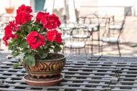 Etna Hotel Hotels in Mascali