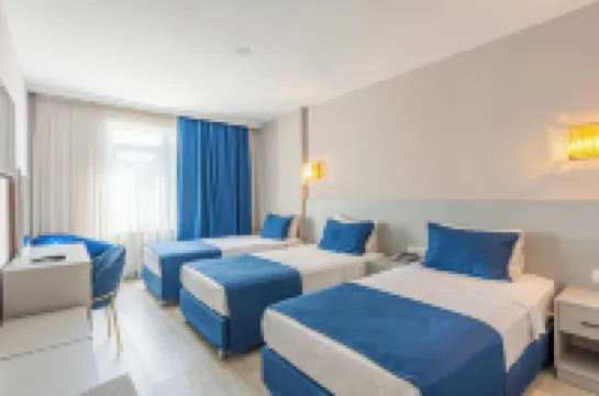 サファリ ホテル