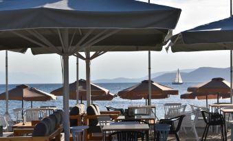 Evia Dream