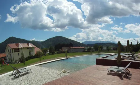 Apartments & Wellness Skok Отели в г. Zalec