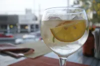 天鵝絨廣場飯店 - 酒吧