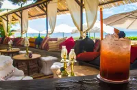 Be Live Experience Costa Palma - Bar