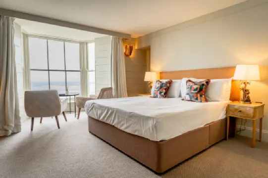 黃金海豚酒店 酒店