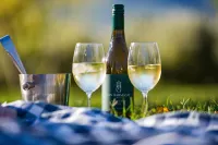 Jan Harmsgat Country House Hotel a Langeberg