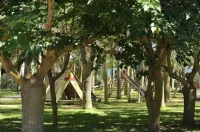 Fruit Village Torre Dell'Orso la Brunese