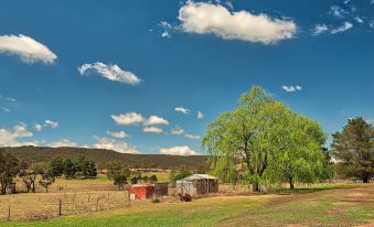 Bushman's Motor Inn