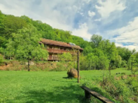 Ecokayan Dilijan Resort Hotel Hotels in 