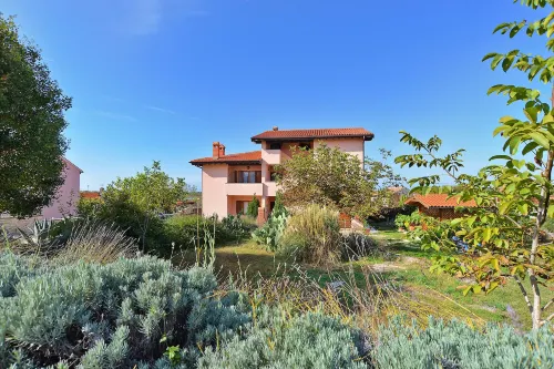 Apartment 1945 Hotels in Bale