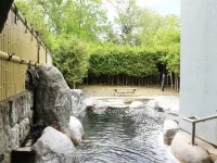 Hotel Terreno - Kaplıcalı