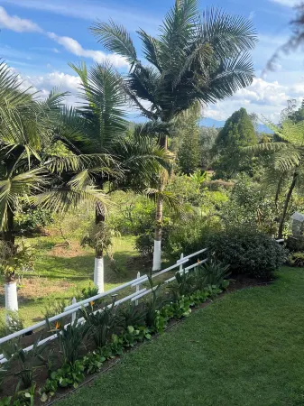 Finca Hotel 12 Palmas