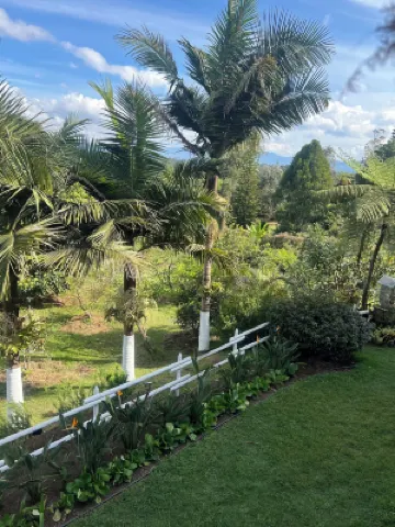 Finca Hotel 12 Palmas