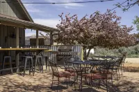 BaseCamp 37° Hotels in Kane County