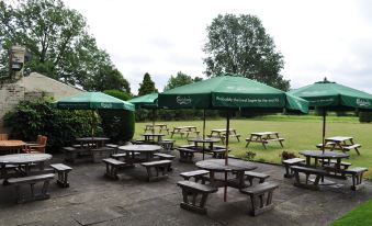 The Golden Pheasant