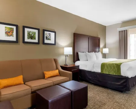 Comfort Inn & Suites Hotels in Experiment