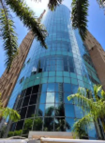 查理紐約市貝里尼