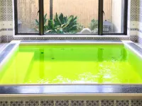 Tatsumi Ryokan Hotel di Saga