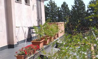 Room-Etna Holiday Home Studio Glicine