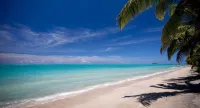 Vaiula Beach Fales Hotels in Utulaelae