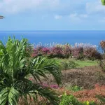 Villa Vuemont - Peaceful 3 Bedroom Villa with Pool - Хоумстей