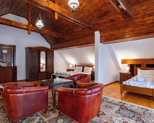 Vila Zorile Hotels near Ruia