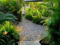 Red Coconut Self-Catering