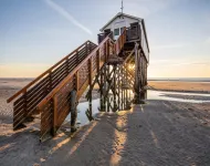 Ferienwohnung am Direkt am Deich in St.Peter-Ording