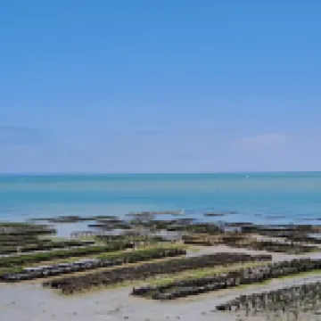 Chambre d'hôtes le lac