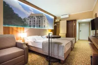 Aranyhomok Business-City-Wellness Hotel Các khách sạn ở Kecskemet