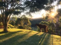 La Provence Cottage near Coolangatta and Byron Bay