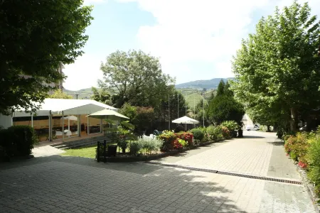 Quinta de São Domingos House