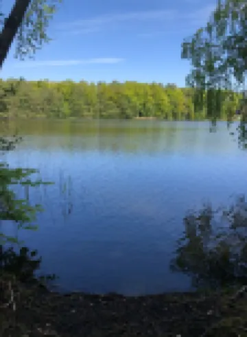Cozy vacation apartment; Mecklenburg Lake District; New kitchen