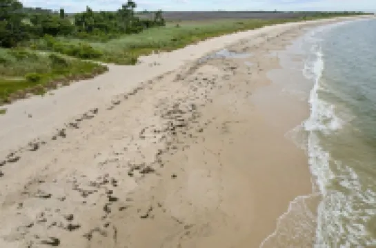 WATERFRONT*SEMI-PRIVATE BEACH*KING BD* DUAL DESK WORKSTATIONS* BLAZING FAST WIFI