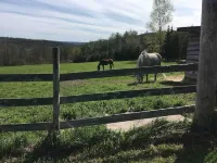Summer - Mountain Fun Getaway - Enjoy Catskills Clean Air