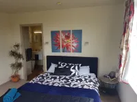 Te Honu House - 13B Millar Street, NP village *free wifi, sky TV & Spa pool