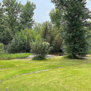 Creekside Cabin Near Salmon Idaho and the Salmon River